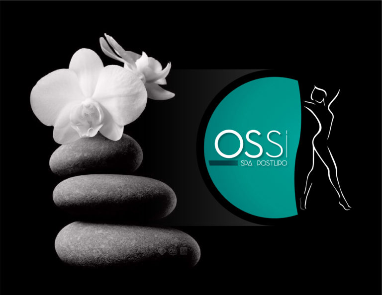 OSSI_PPT_Artboard 8 copy 7